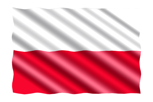 **Rowerem po bunkrach i fortyfikacjach: Militarne trasy rowerowe w Polsce - historia i trasa** - 1 2025
