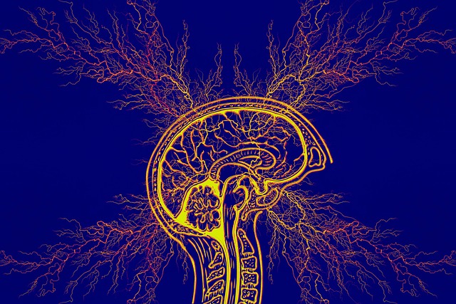 ** Profilaktyka selektywna ADHD a profilaktyka uniwersalna: Porównanie skuteczności i kosztów w kontekście poprawy wyników edukacyjnych. - 5 2025