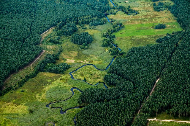 Zaskakujące Oazy Spokoju: Niezwykłe Miejsca na Relaks w Polsce