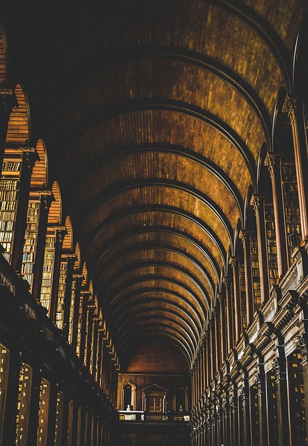 Biblioteki jako przestrzenie dla zapomnianych technologii: Jak tradycyjne narzędzia mogą inspirować nowoczesnych twórców - 1 2025