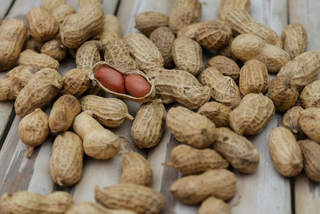 Dieta FODMAP: Jak zrozumieć i zarządzać nietolerancjami pokarmowymi