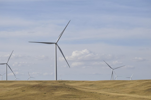 Zielona Energia: Jak Lokalne Inicjatywy Przemieniają Przemysł - 1 2025