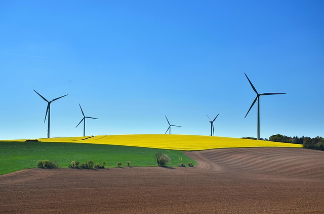 Zrównoważony rozwój a technologia: Jak innowacje pomagają w walce z kryzysem klimatycznym? - 3 2025